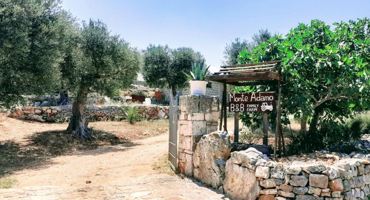 Monte Adamo Farm stay Conversano