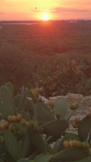 Monte Adamo * Conversano