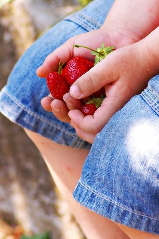 Farm stay Monte Adamo