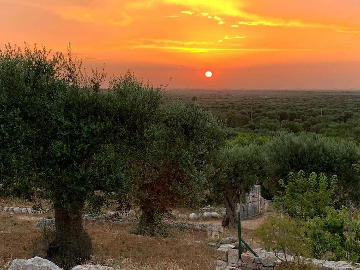 Farm stay Monte Adamo
