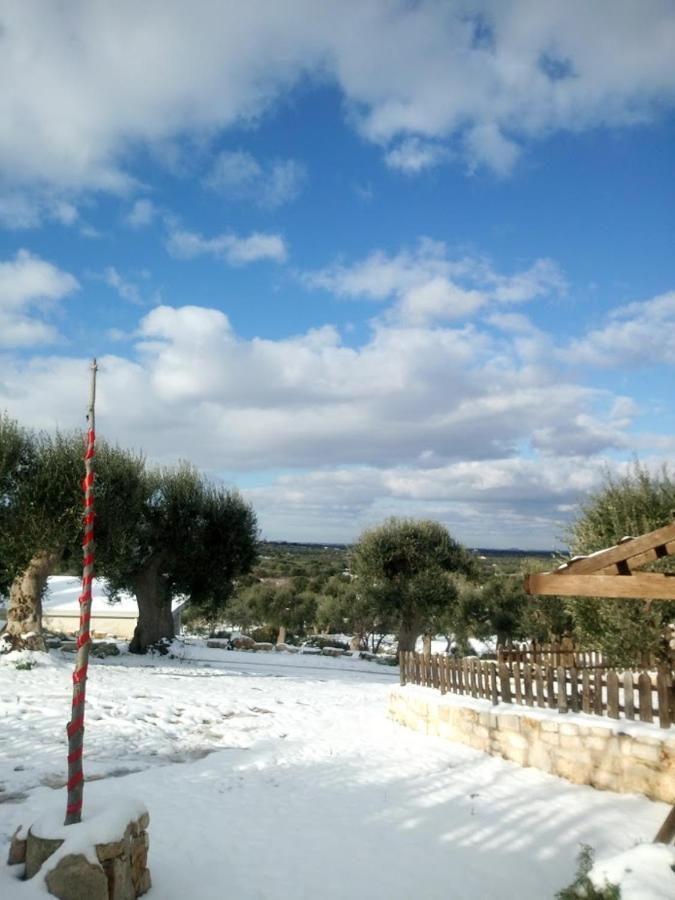 Monte Adamo Farm stay *