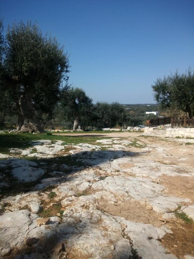 Monte Adamo Farm stay Conversano